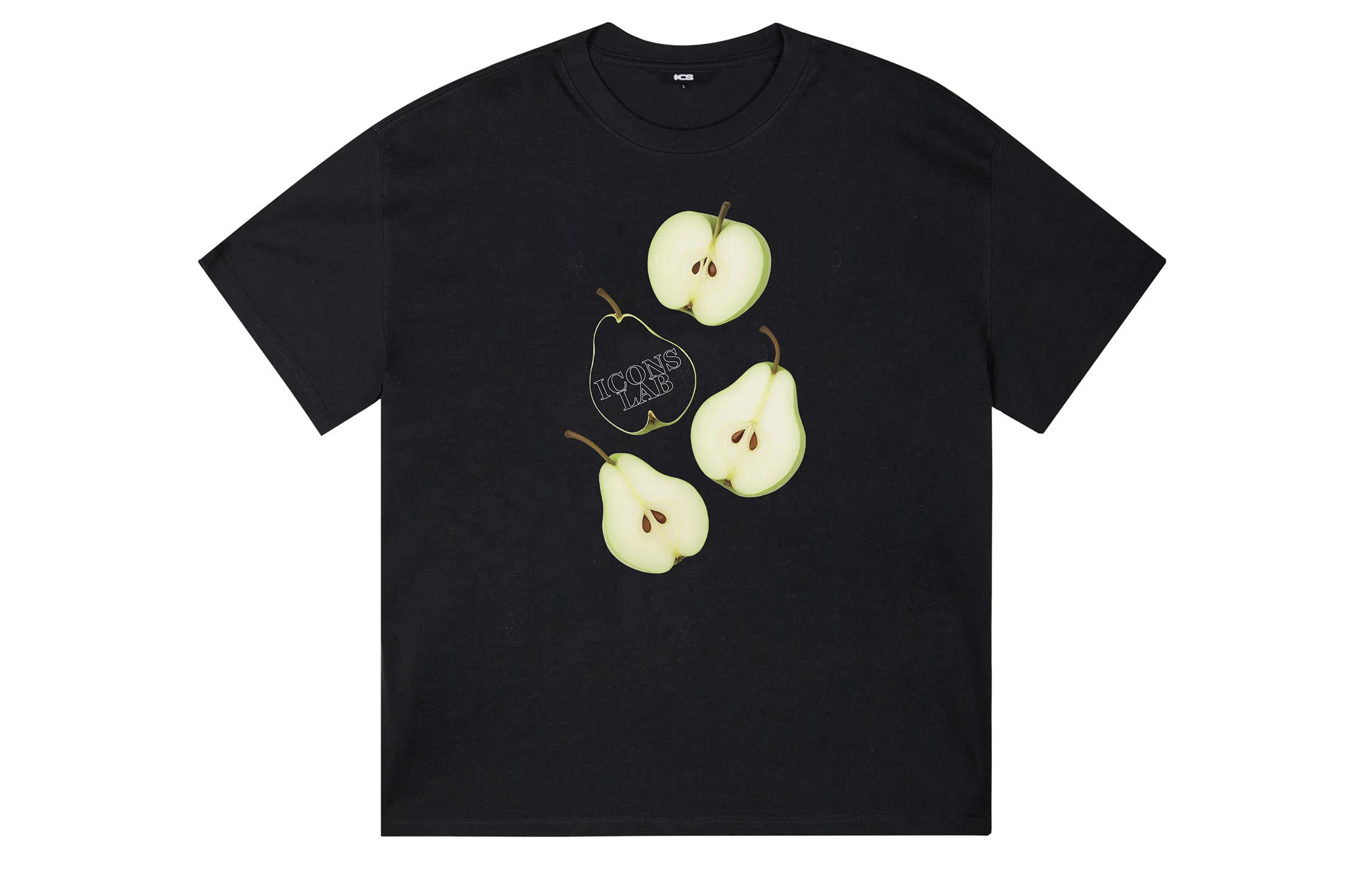 ICONS Lab ICS T