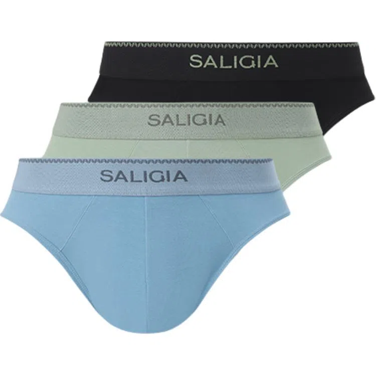 SALIGIA 3
