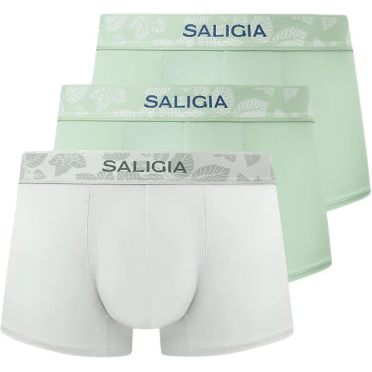 SALIGIA 3