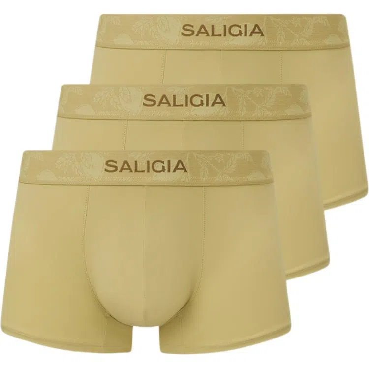 SALIGIA 3