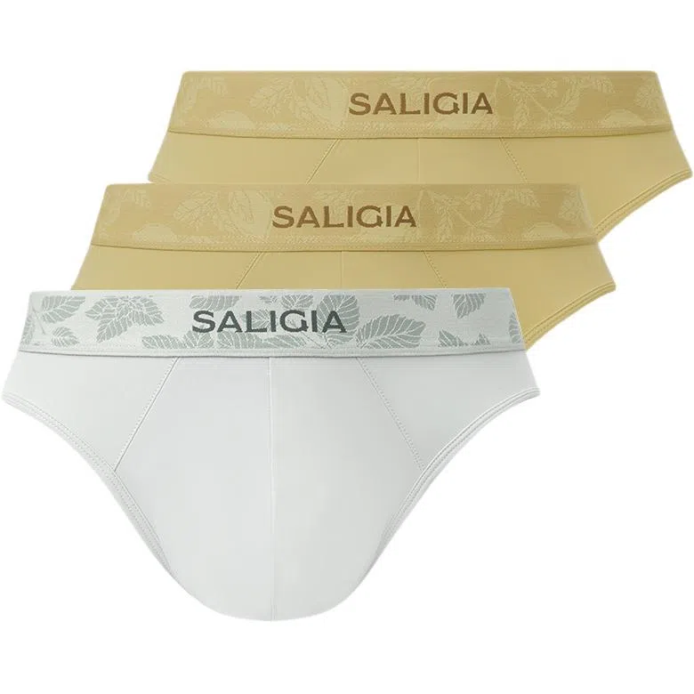 SALIGIA 3