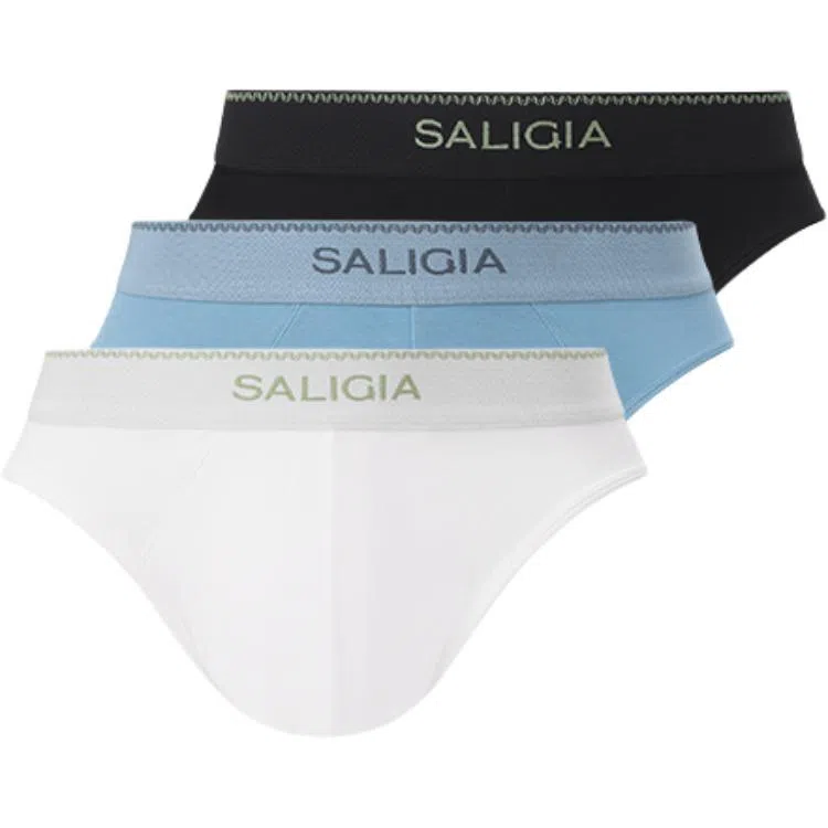 SALIGIA 3