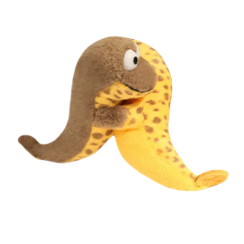 20cm