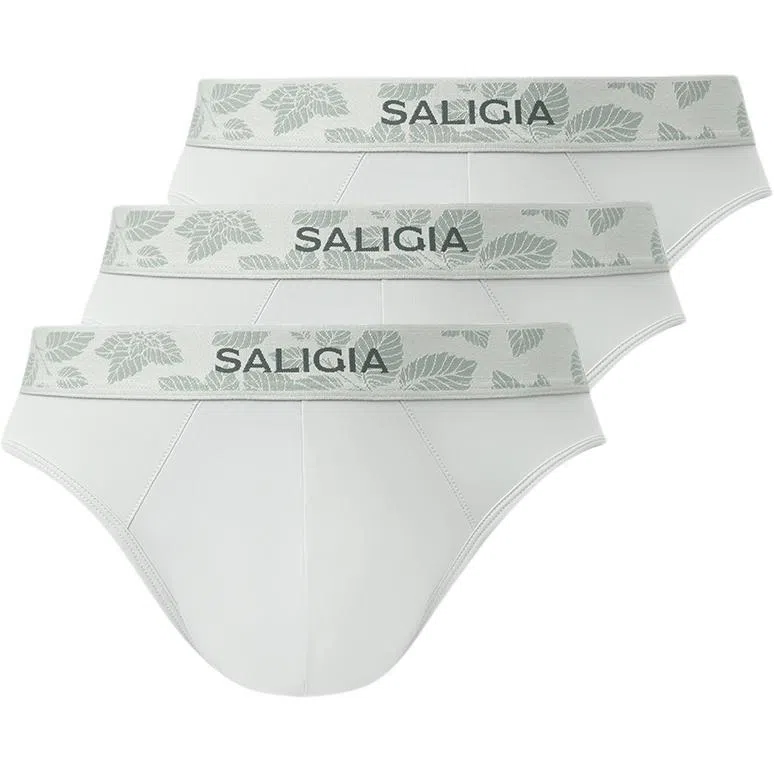 SALIGIA 3