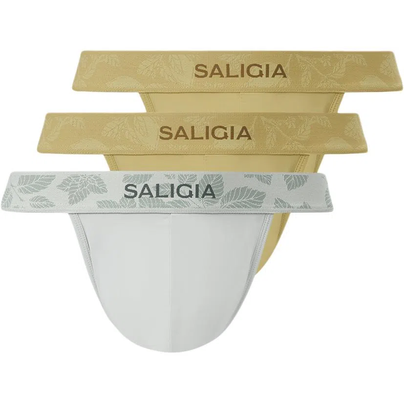 SALIGIA 3