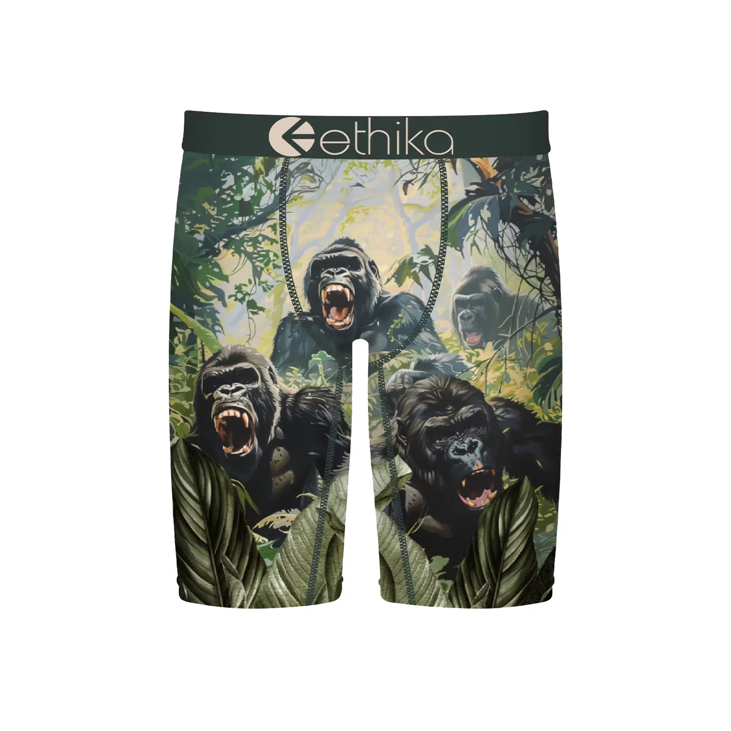 ETHIKA 1
