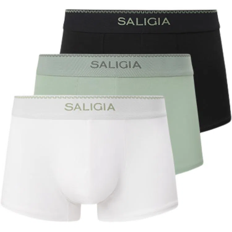 SALIGIA 100S 3
