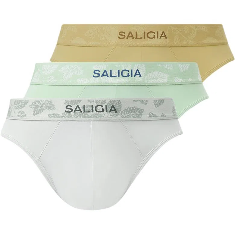 SALIGIA 3