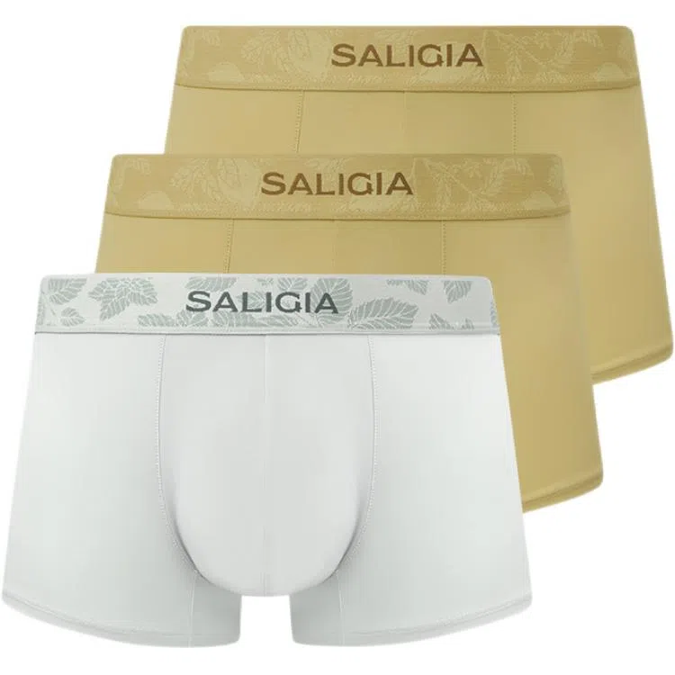 SALIGIA 3