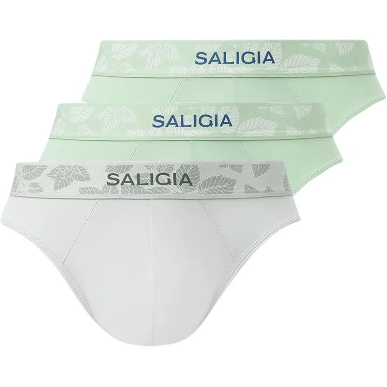 SALIGIA 3