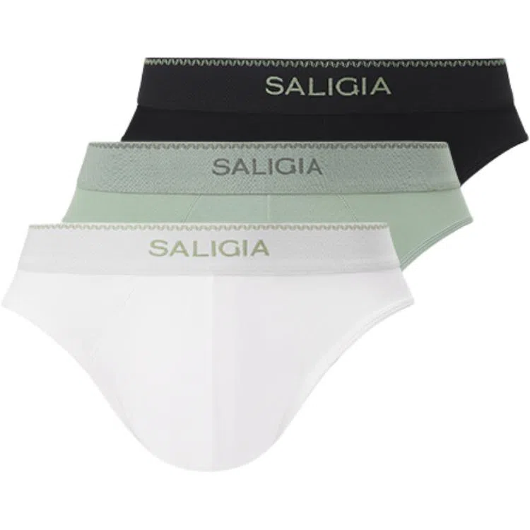 SALIGIA 3