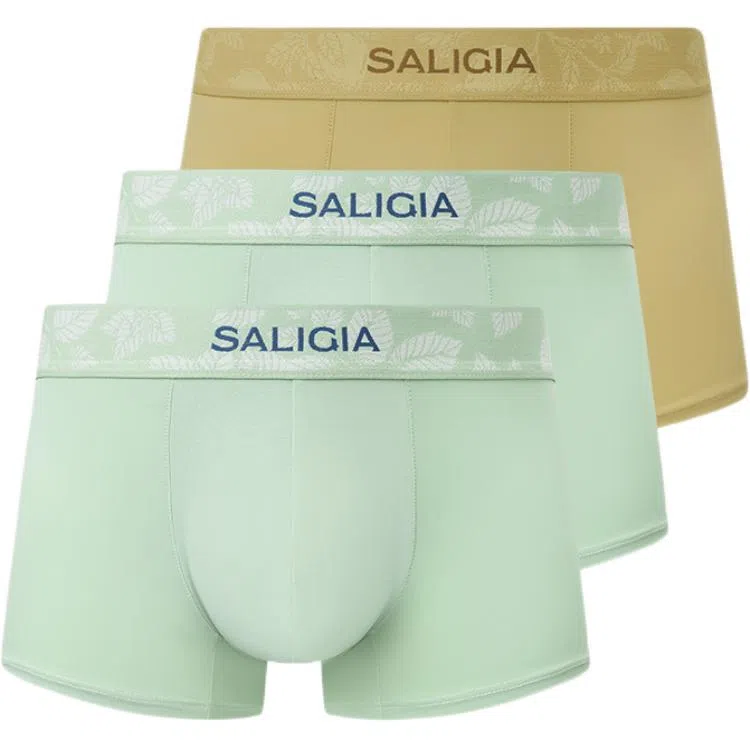 SALIGIA 3