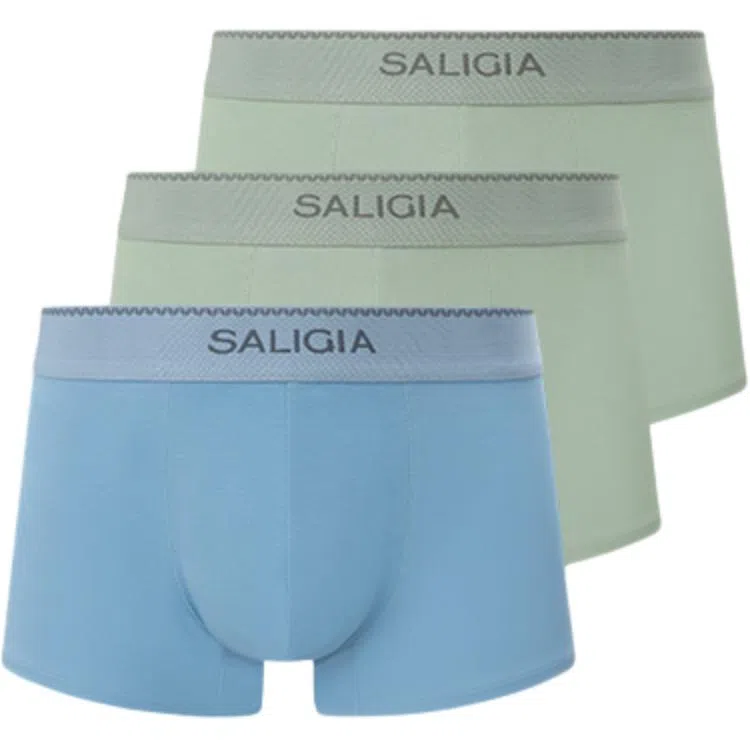 SALIGIA 100S 3