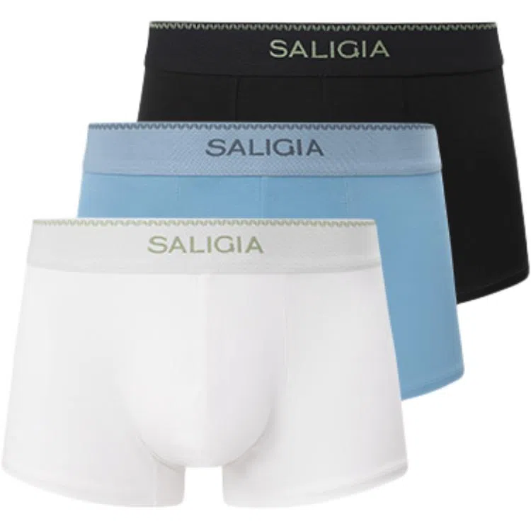 SALIGIA 100S 3