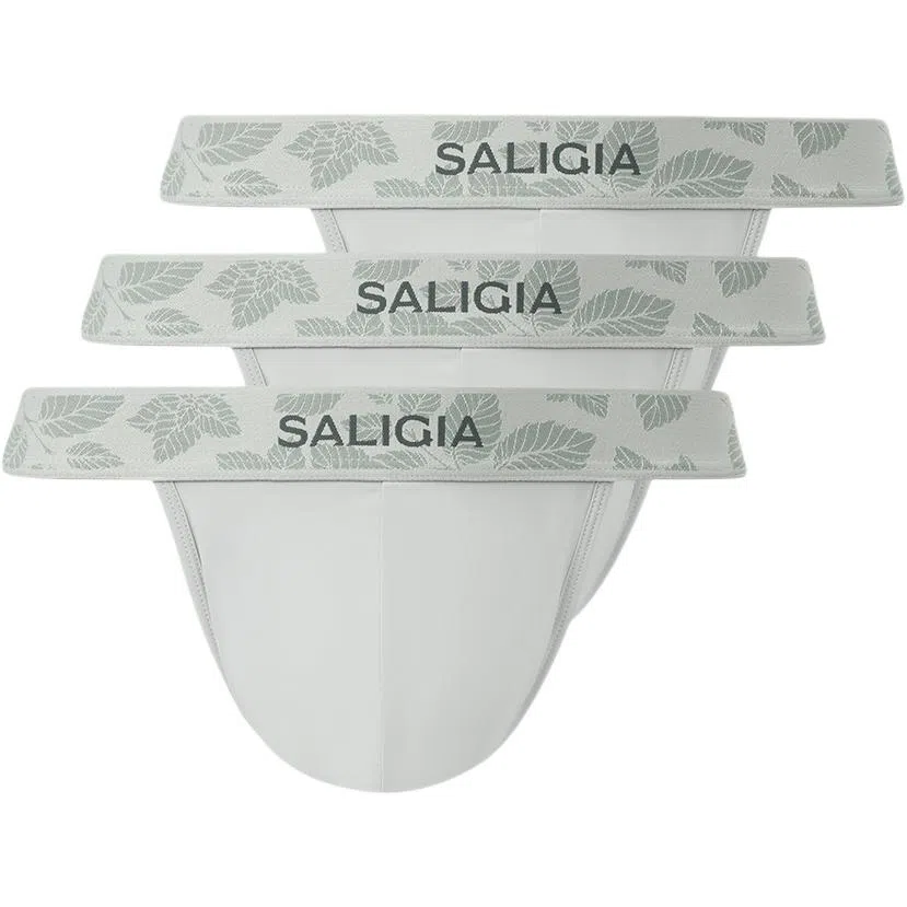 SALIGIA 3
