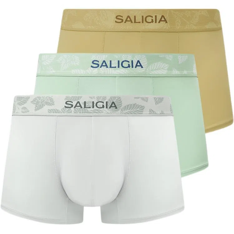 SALIGIA 3
