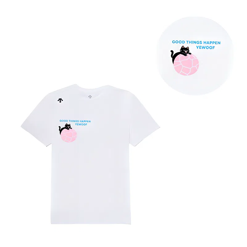 DESCENTE TOUGH logoT