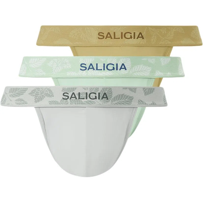 SALIGIA 3