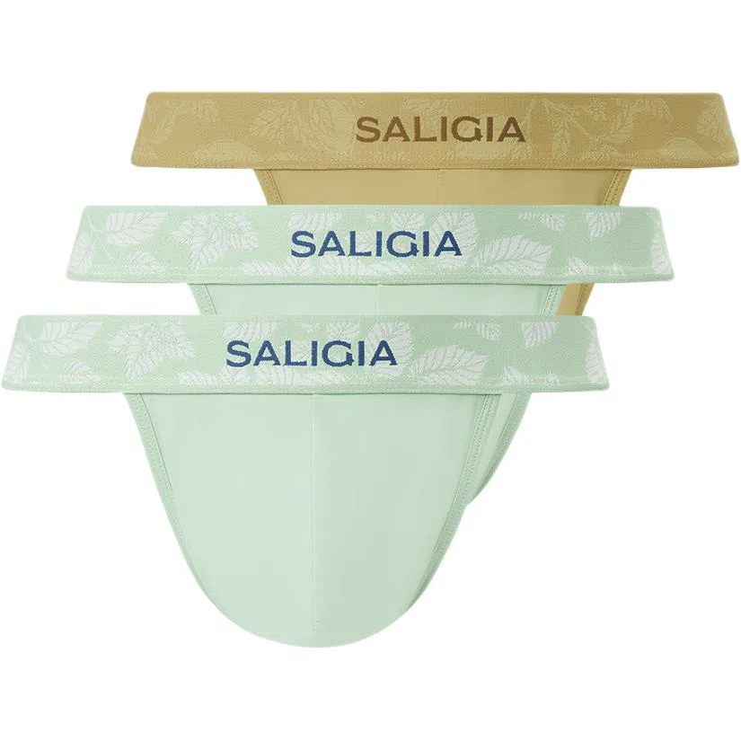 SALIGIA 3