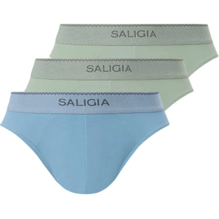SALIGIA 3