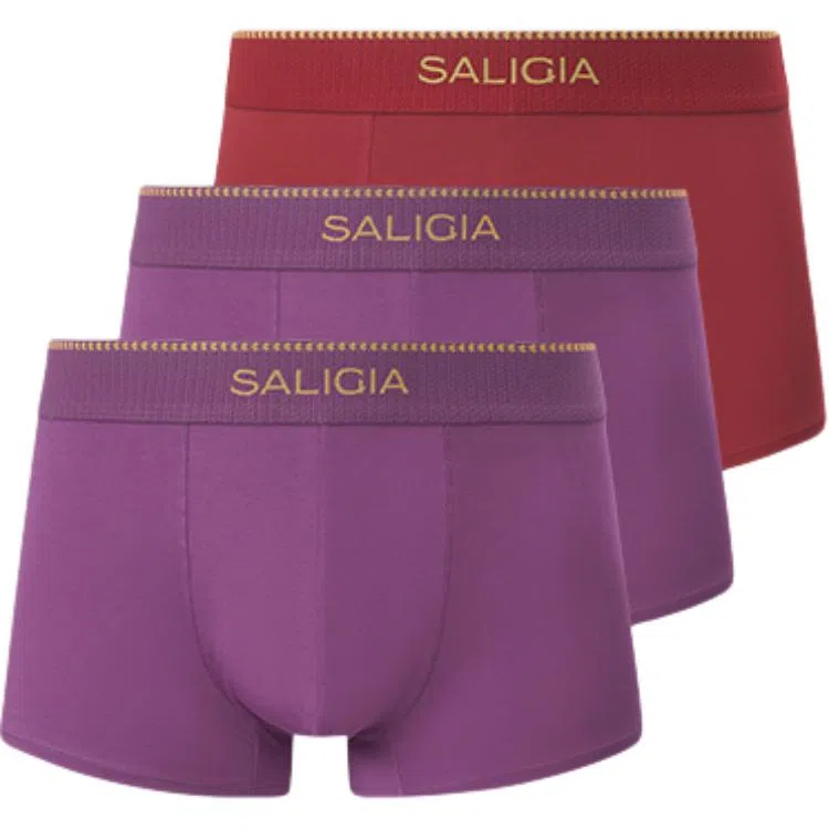 SALIGIA 140S 3