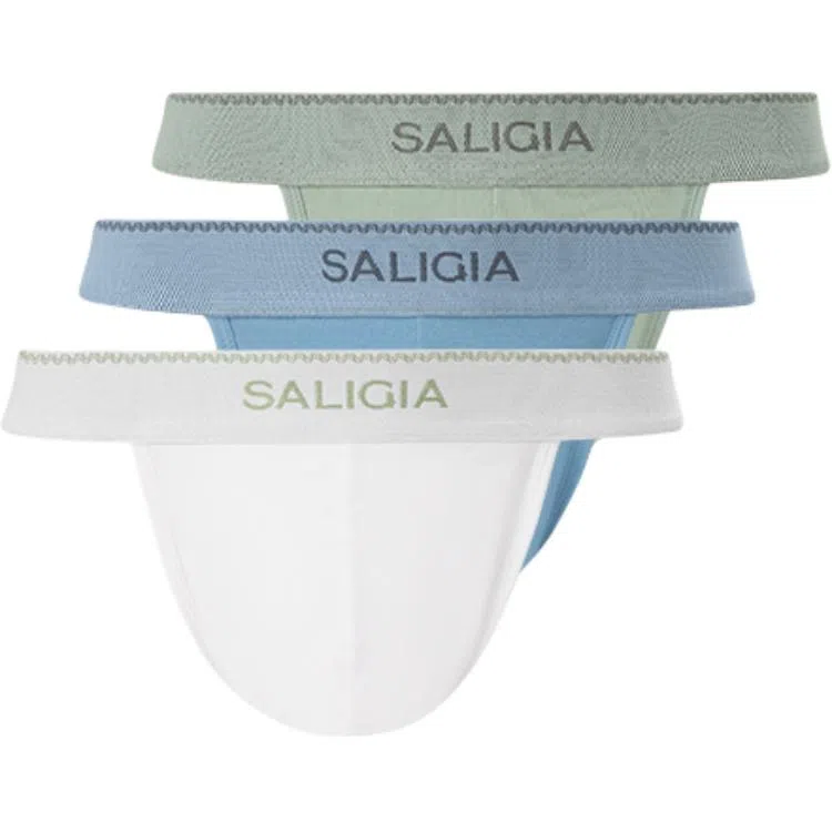 SALIGIA 3
