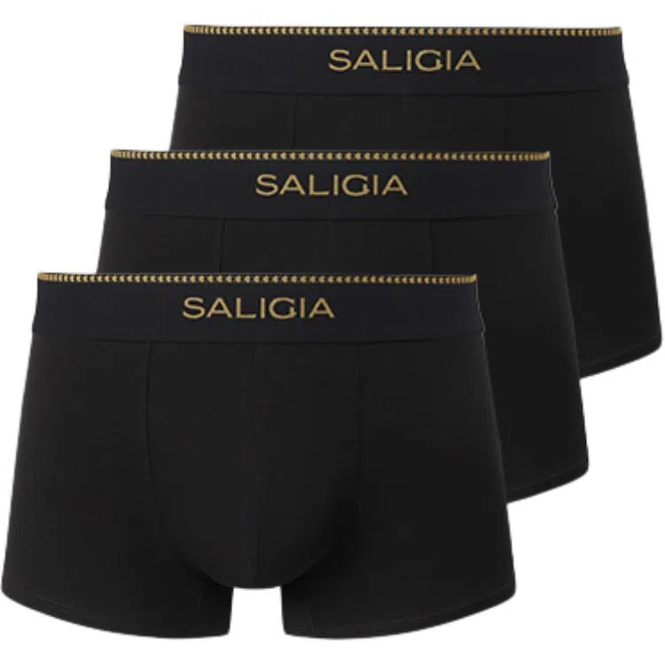 SALIGIA 140S 3