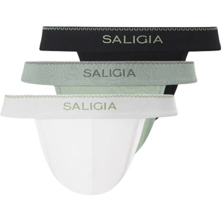 SALIGIA 3