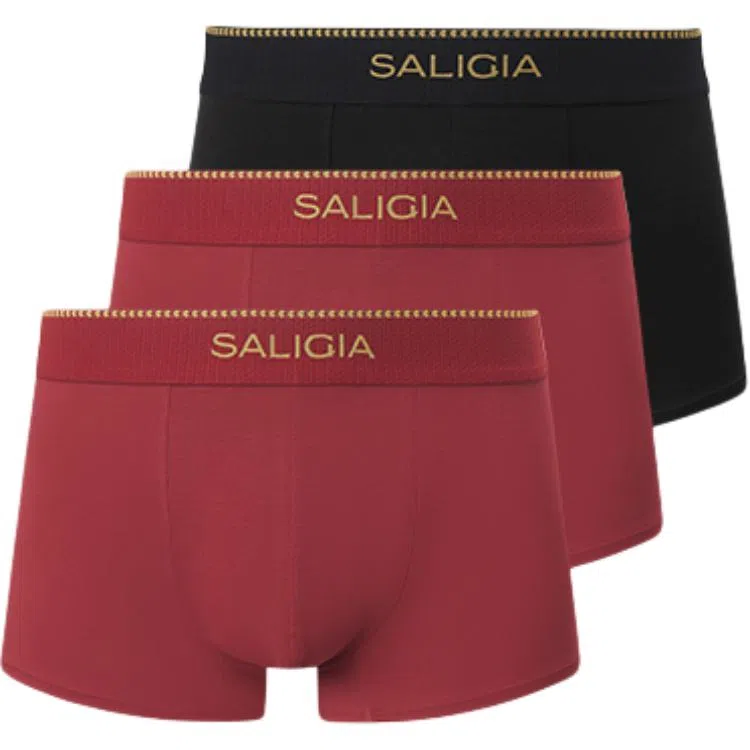 SALIGIA 140S 3