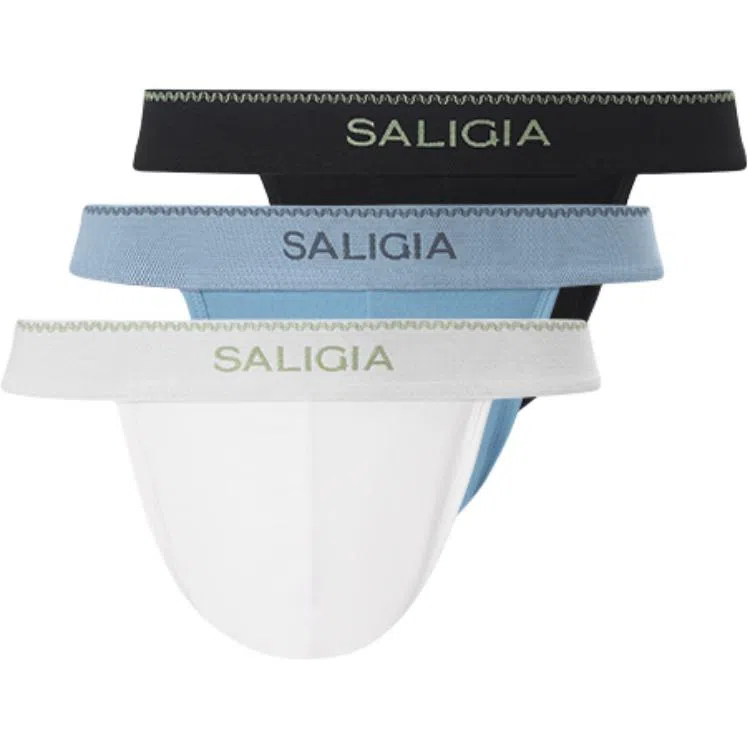 SALIGIA 3