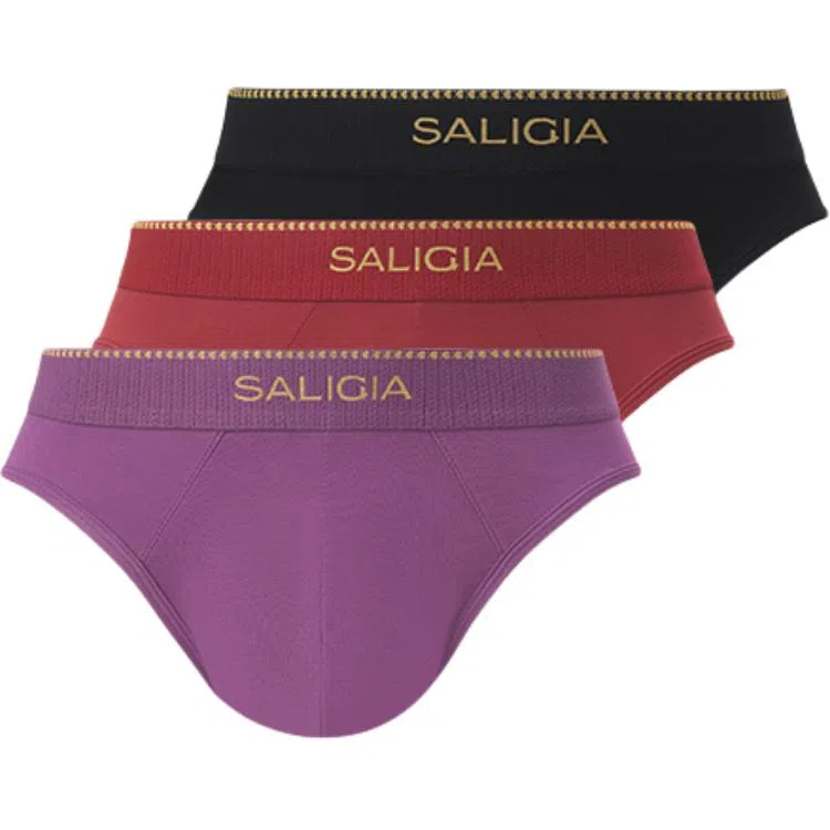 SALIGIA 3