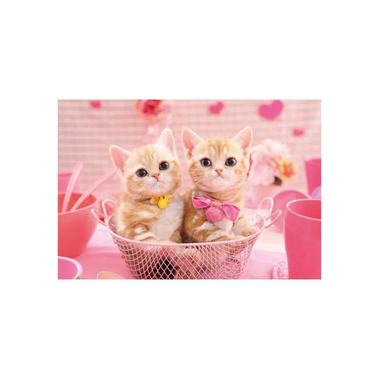 EPOCH 300pcs 4977389251643