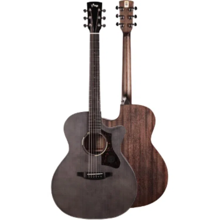 TYMA ()2 TG-2TG-2PTD-2 GAD