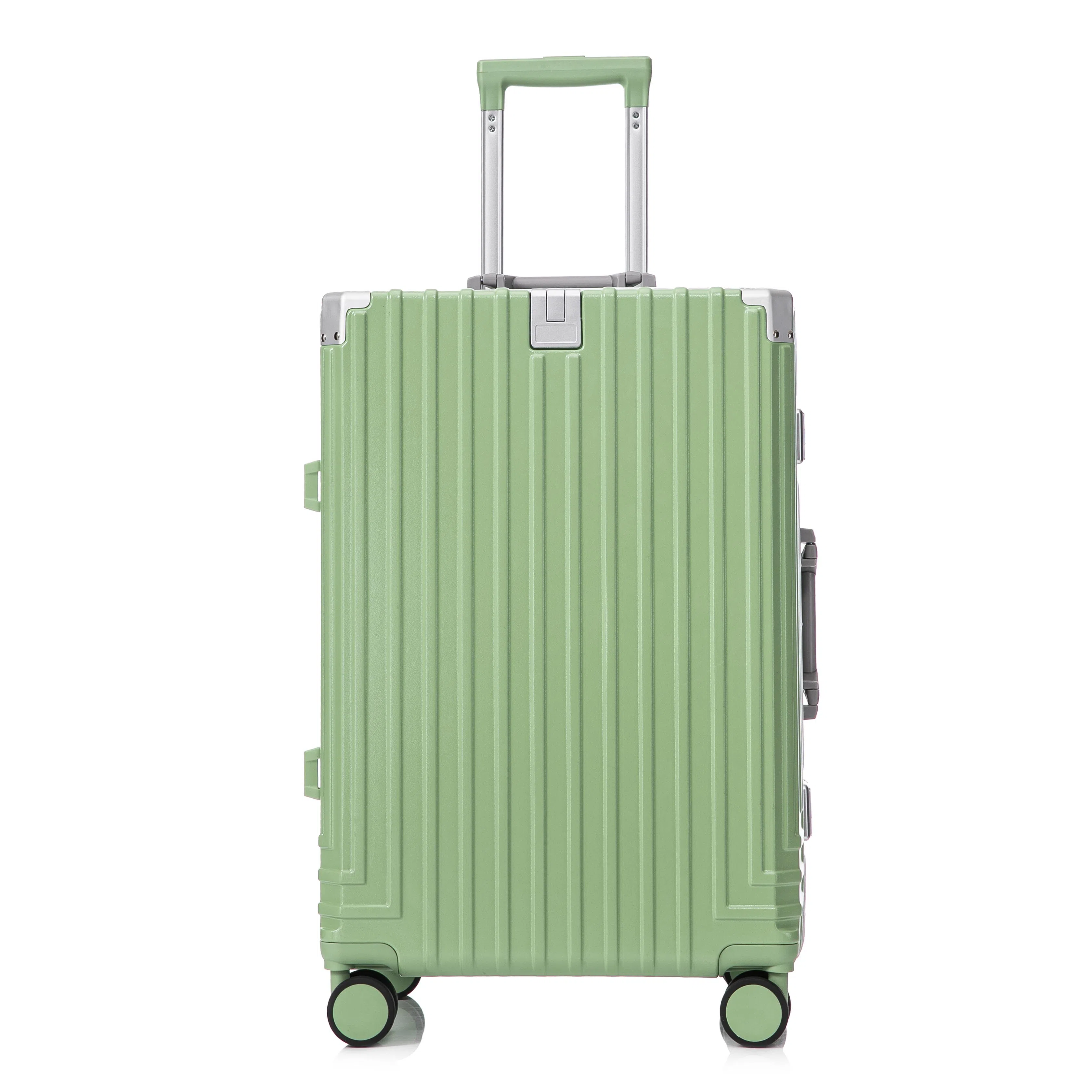 SEA LION ABS+PC 20242622