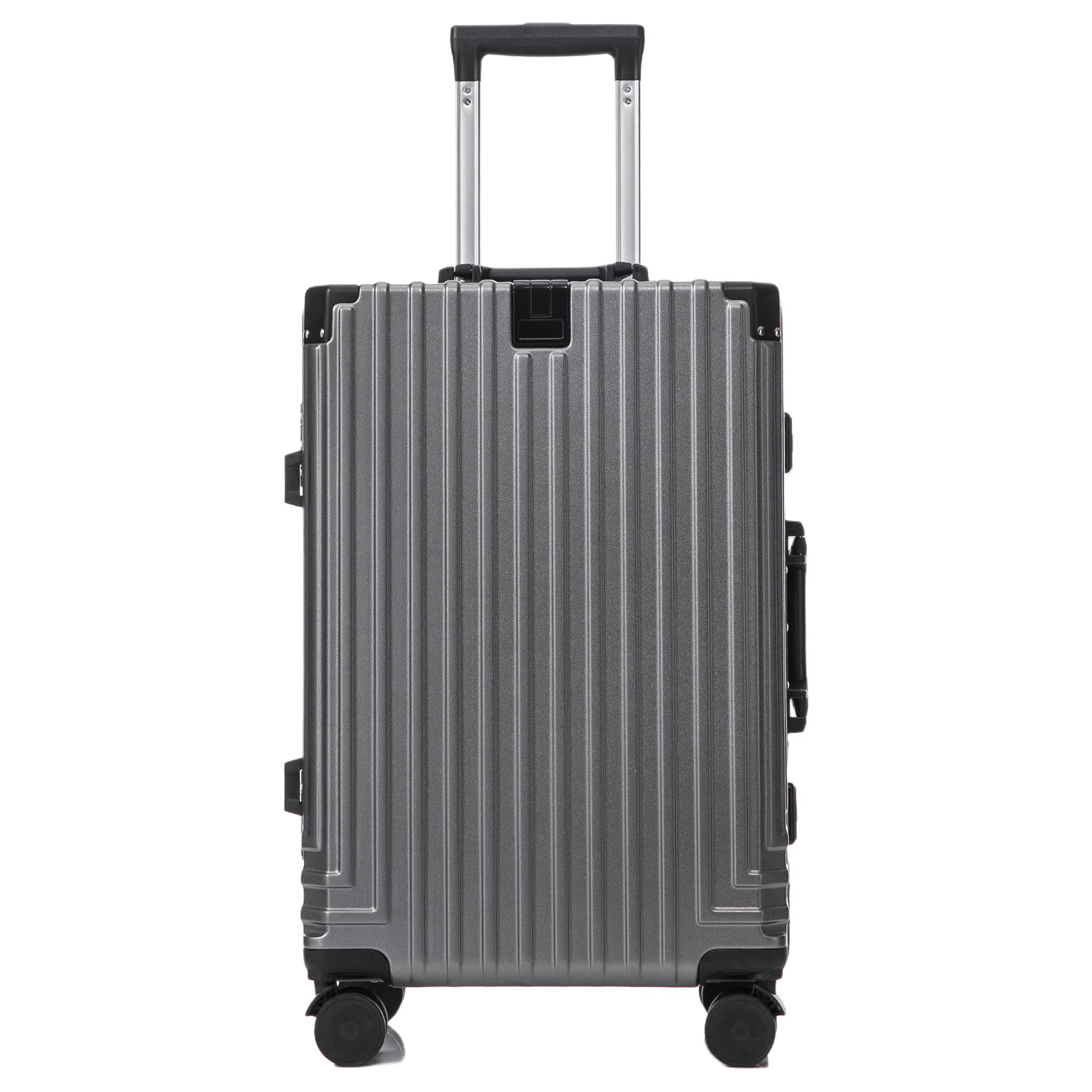 SEA LION ABS+PC 20242622