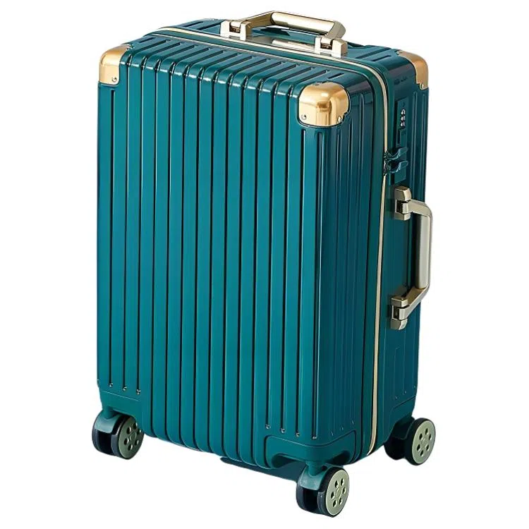 SEA LION PC 20242622