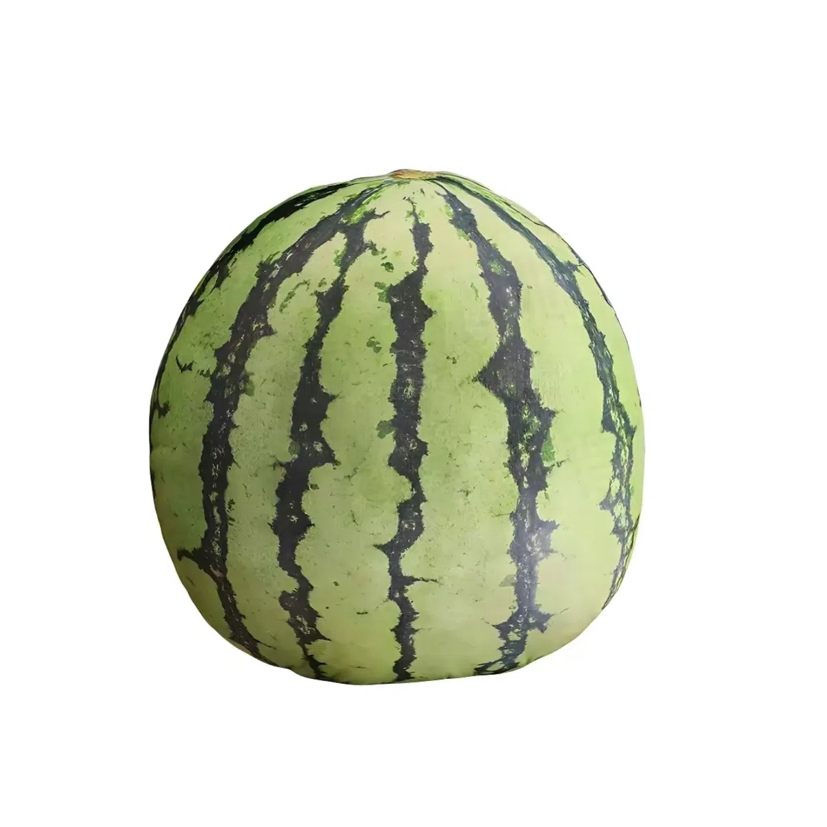 AECELI 43cm