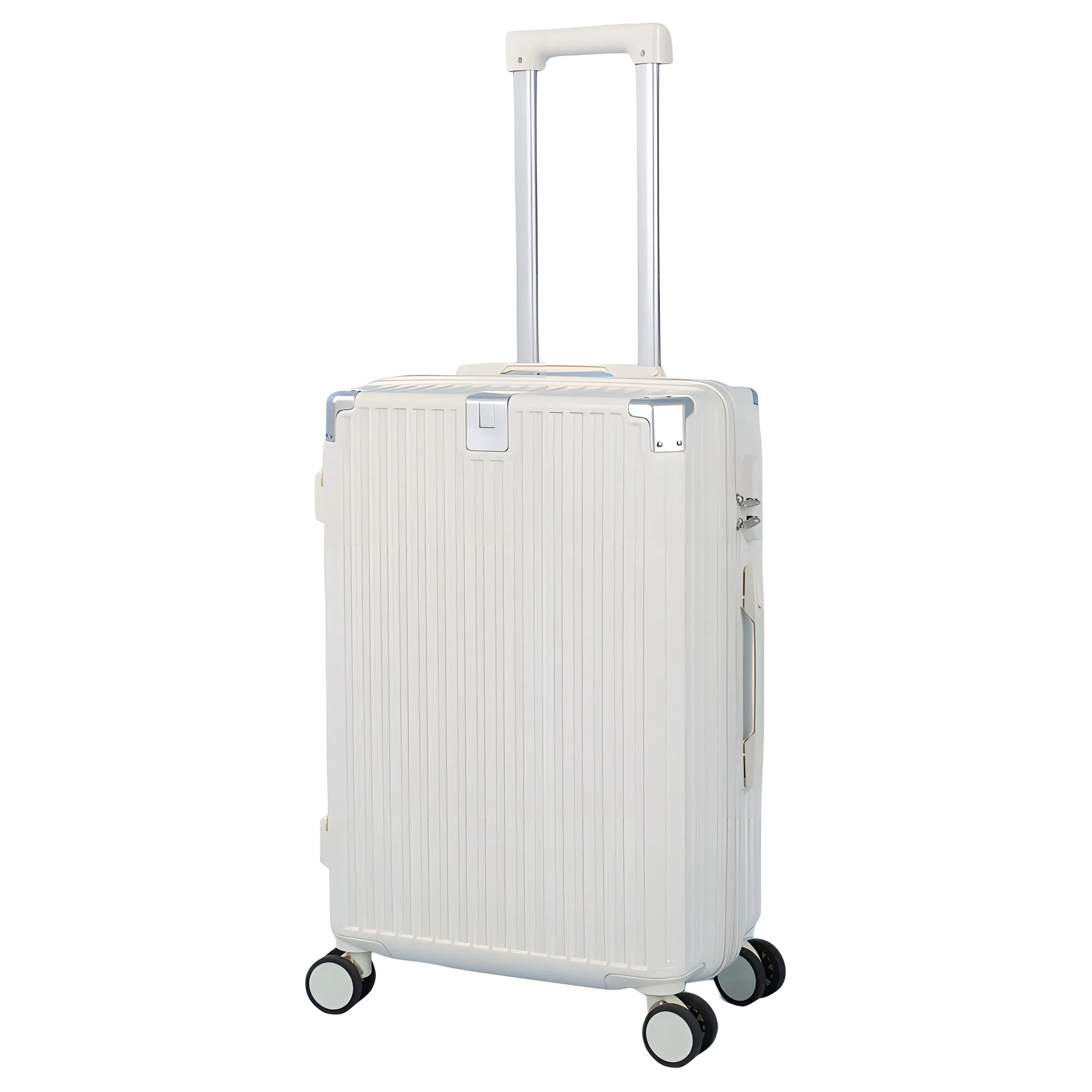 SEA LION PC 18202325