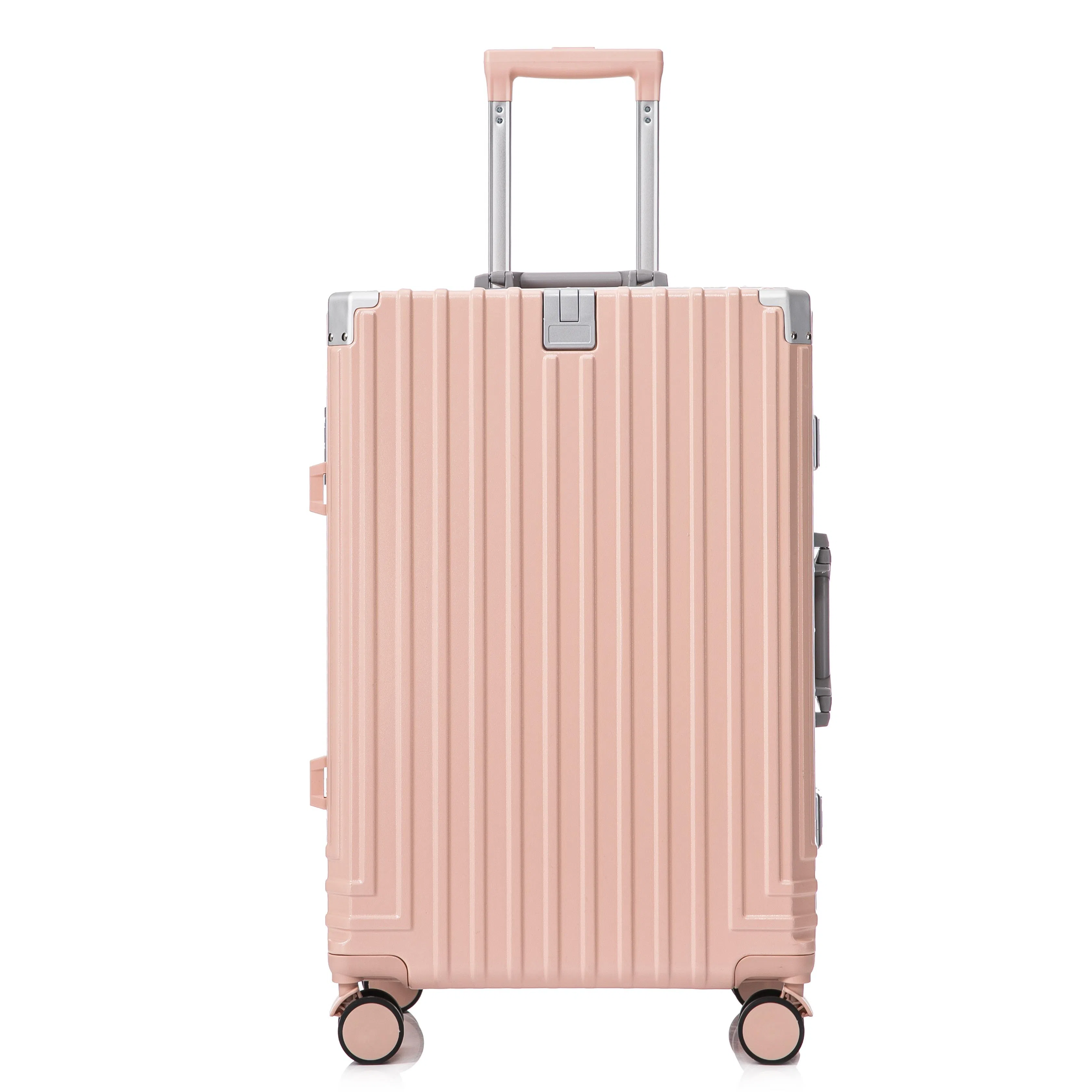 SEA LION ABS+PC 20242622