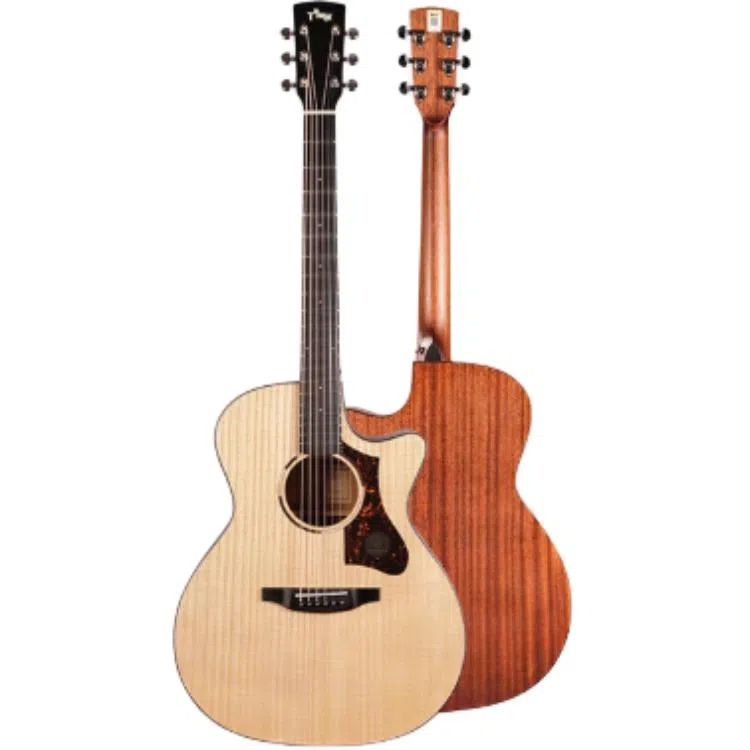 TYMA ()2 TG-2TG-2PTD-2 GAD