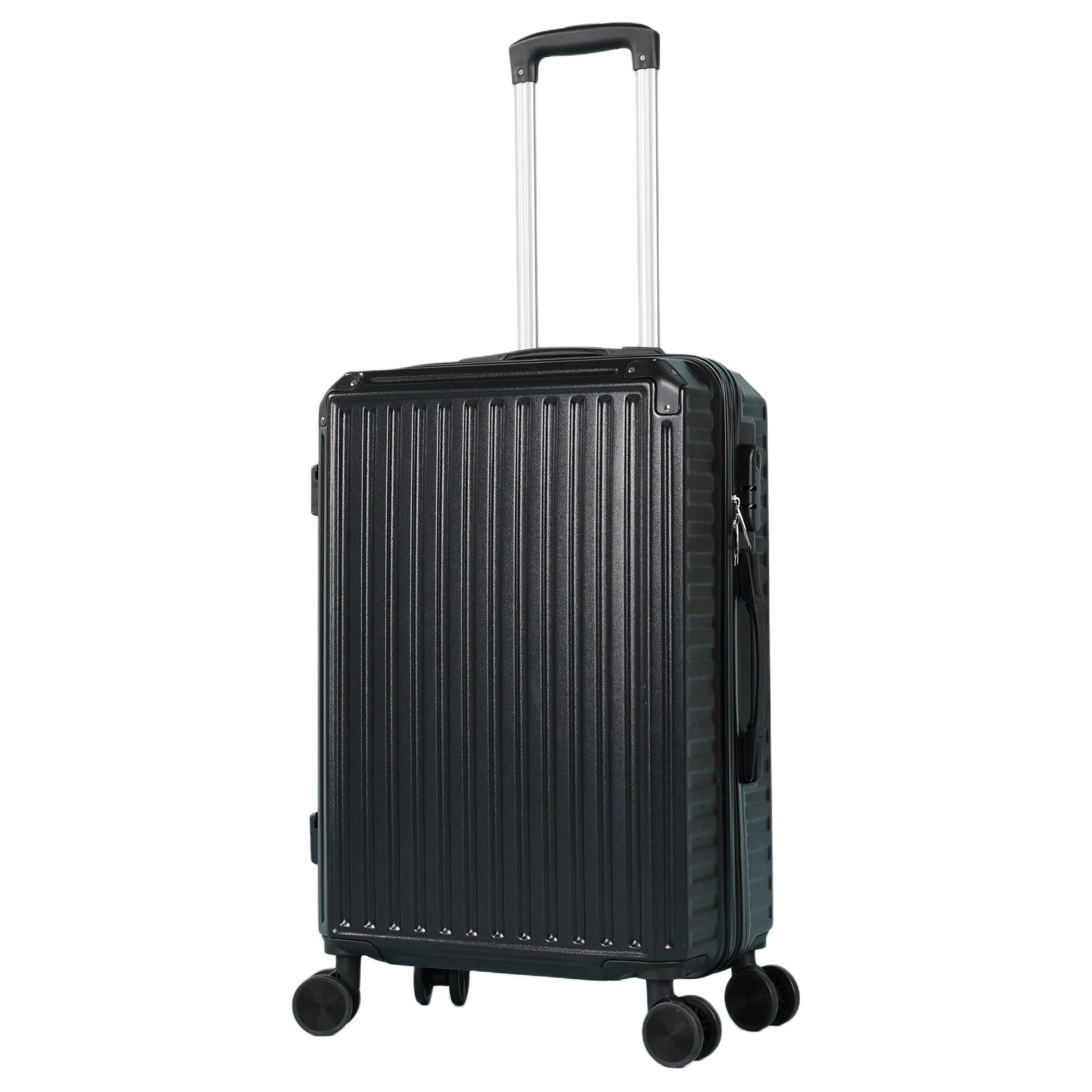 SEA LION PC 18202325