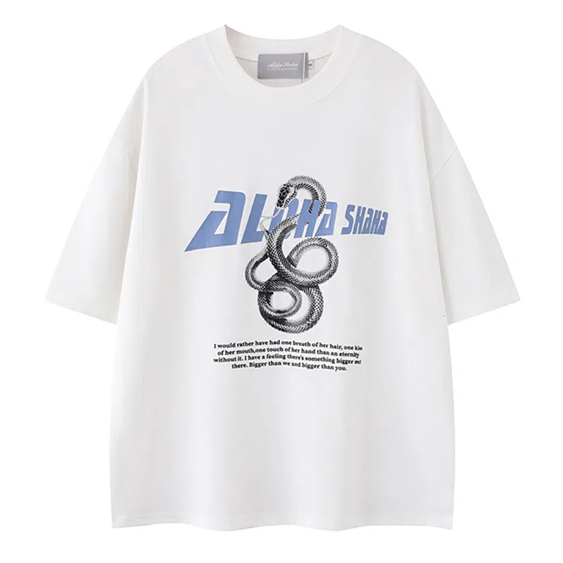 PINSCIO ZENIE T
