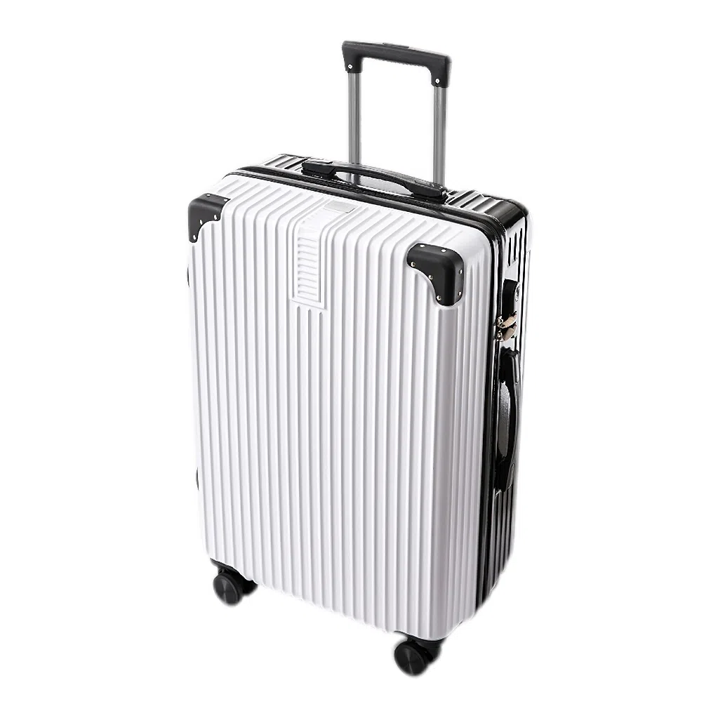 SEA LION ABS+PC 23252621