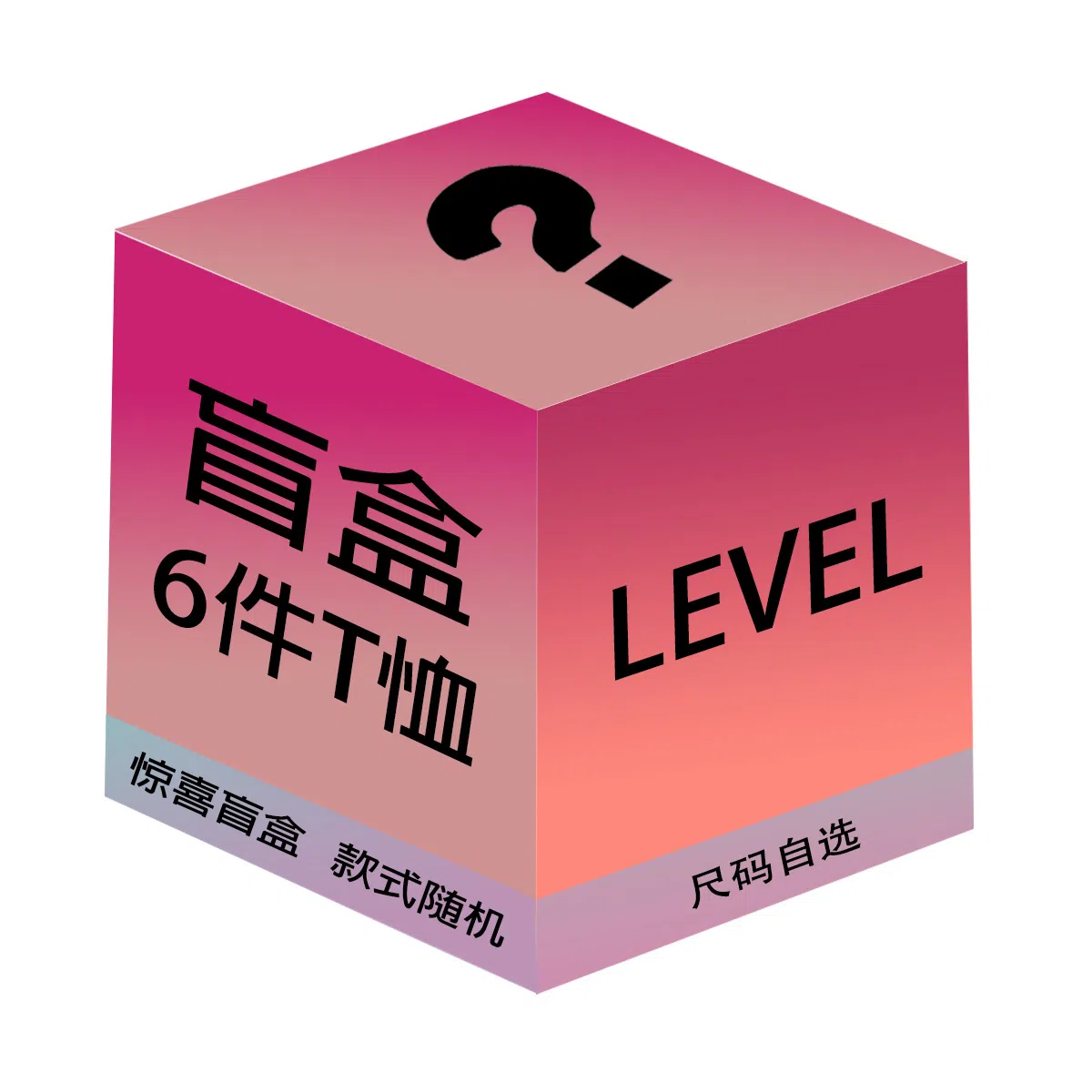 LEVEL 6