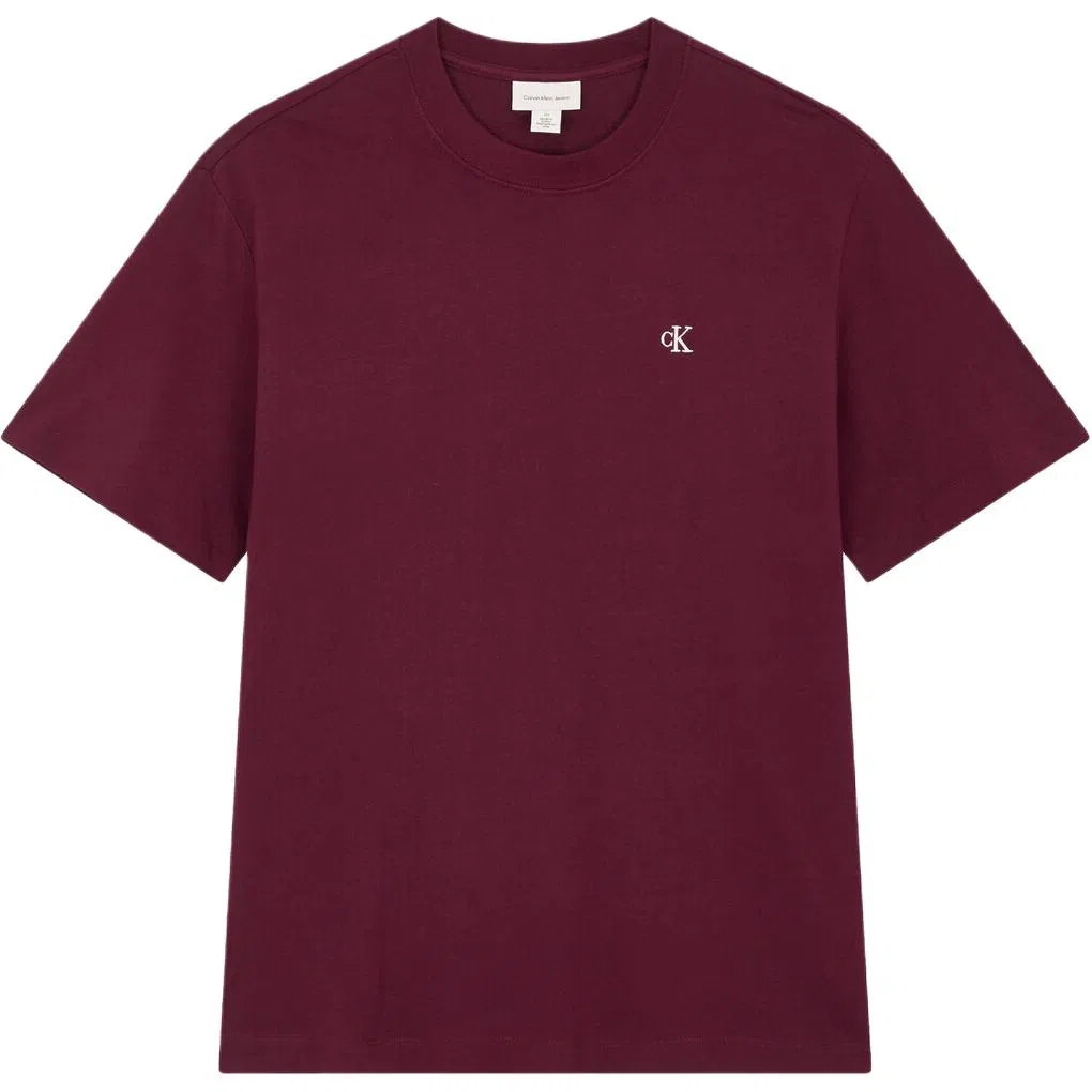 CALVIN KLEIN Jeans logoT