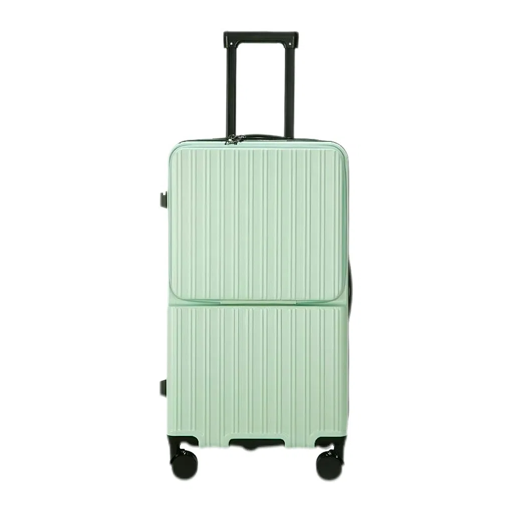 SEA LION PC 2426222830