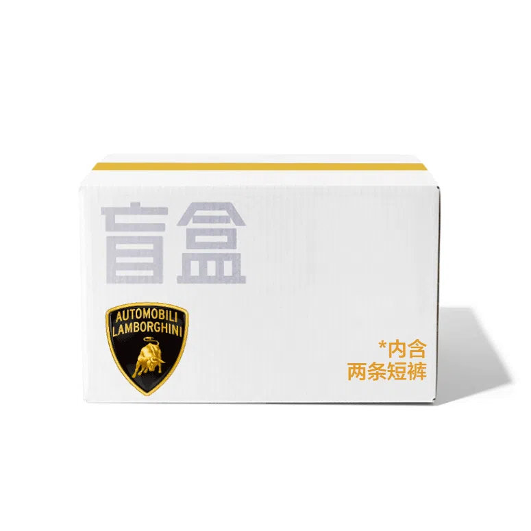 Automobili Lamborghini