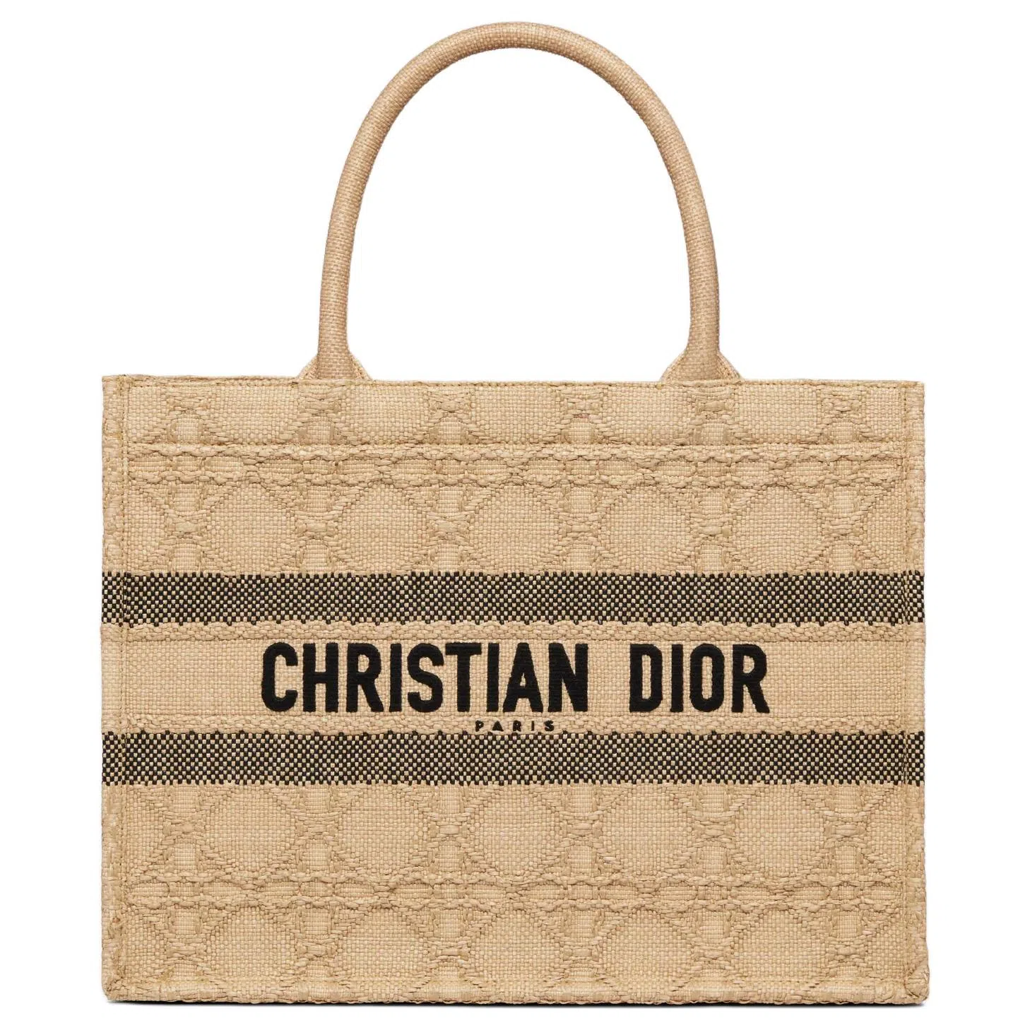DIOR BookTote Tote