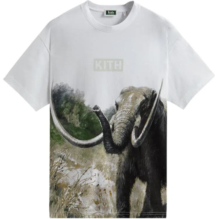 KITH x AMNH T
