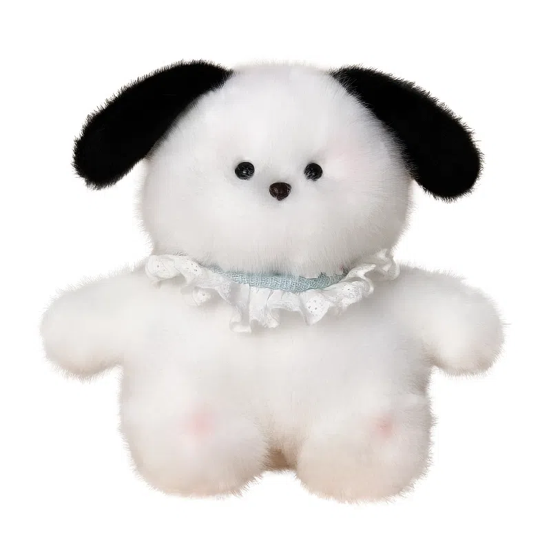 20cm